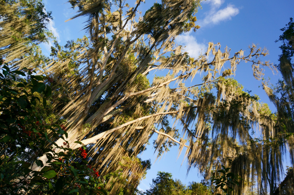 Parque Natural El Gallineral